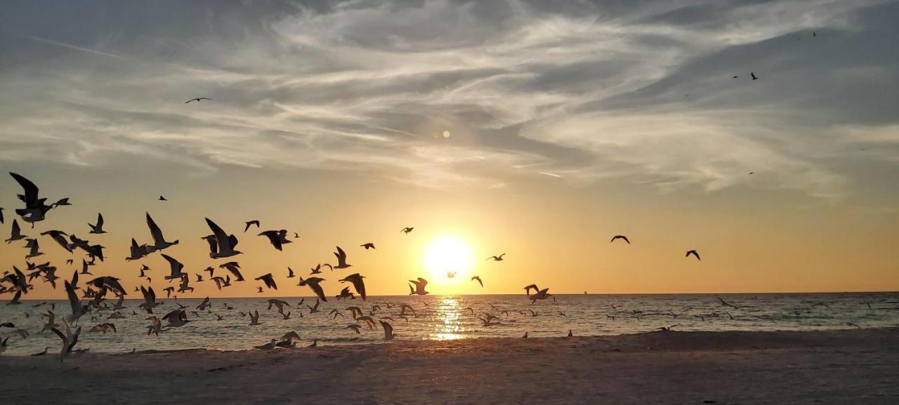 Sunset Vistas 206S Villa St. Pete Beach Exterior foto